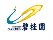 揭西碧桂园地产